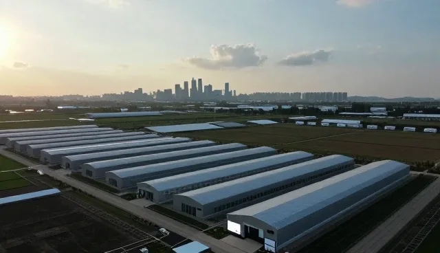 数据处理能力如何重塑平台搭建的技术外包模式